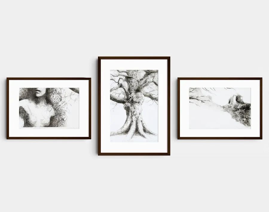 Зображення "Dry Point Series" від Anastasiia Stasiuk , розмір: 40×29,5 cm 50×36,6 cm 40×29,5 cm, матеріали: oil-based intaglio printing ink, Fabriano printing paper 300 gsm, медіум: Графіка, місто: Lviv, Ukraine , серія: Суха голка, ціна: $750